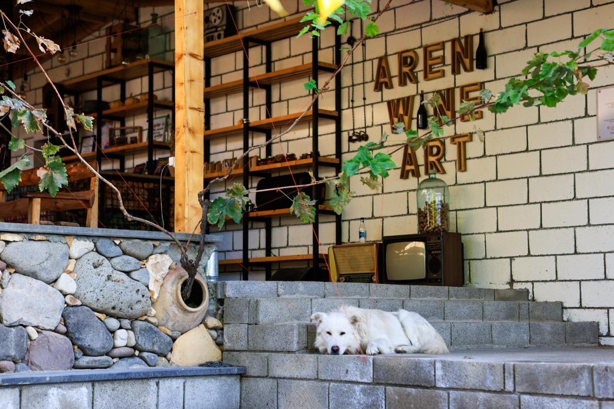 Areni Wine Art Bed and Breakfast Buitenkant foto
