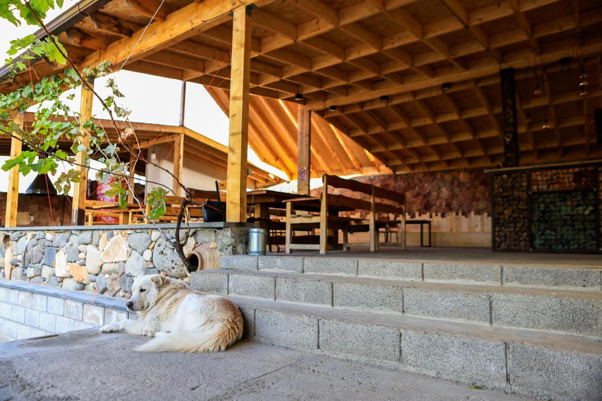 Areni Wine Art Bed and Breakfast Buitenkant foto